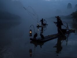 cormorant, fishermen, boats, lake, fishing, guilin, nature, yangshuo