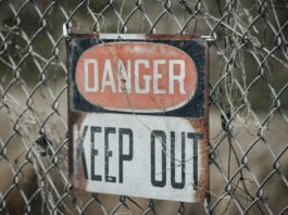 red and white stop road sign