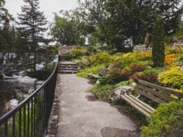 brown wooden fence near green trees during daytime