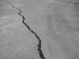 grayscale photo of a wooden floor